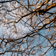 Illustration for article titled Film From The Minolta XG-M Is Back, Plus A Super Moon